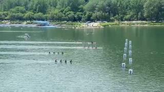 [경기영상] 카누부 K-4 200M 금메달 영상 사진